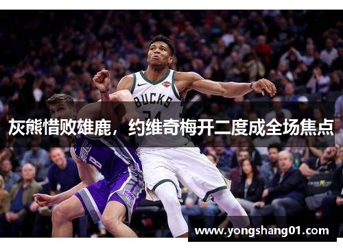 灰熊惜败雄鹿，约维奇梅开二度成全场焦点